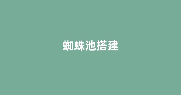 百度seo优化排名